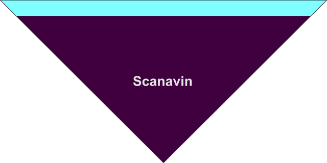 Foulard Scanavin Foulard Scanavin
